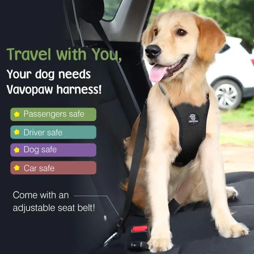 Miniatura 2 de VavoPaw Cinturón de seguridad para perro, chaleco de seguridad para coche con hebilla ajustable Cinturón de seguridad para perro para vehículo Negro