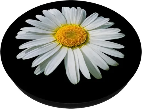 Miniatura 2 de White Gerbera Daisy Flower PopSockets PopSockets de fondo negro intercambiable PopGrip