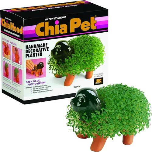 Miniatura 13 de Chia Pet Bear Cub con paquete de semillas, maceta decorativa de cerámica, fácil de hacer y divertido de cultivar, regalo novedoso, perfecto