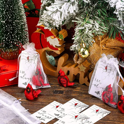 Miniatura 4 de Roowest El juego de 18 piezas de regalo conmemorativo cardenal incluye mini figuras de estatua de pájaro cardenal rojo, tarjetas de plumas rojas