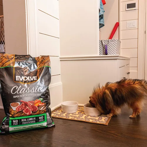 Miniatura 12 de Evolve Classics - Comida para perros con receta de cordero y arroz integral, 3.75 libras