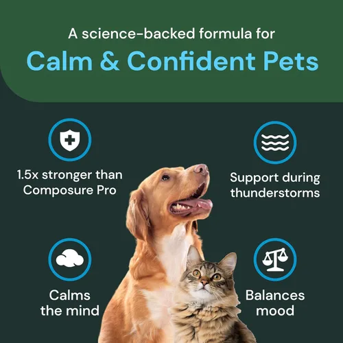 Miniatura 4 de VETRISCIENCE Max Veterinary Strength Calm & Confident Chews - Suplemento de estrés para mascotas - Apoya la función cerebral para gatos y perros
