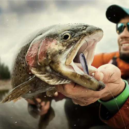 Miniatura 7 de Cebos de natación de cola de paleta, señuelos de pesca de plástico suave, cebos de natación para pesca de lubina, 30/50 piezas con caja, cebos de E
