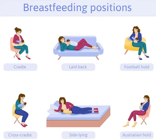 Miniatura 7 de Almohada de brazo de alimentación para bebé, almohada de algodón suave para recién nacido, almohada de lactancia para bebé, almohada de apoyo