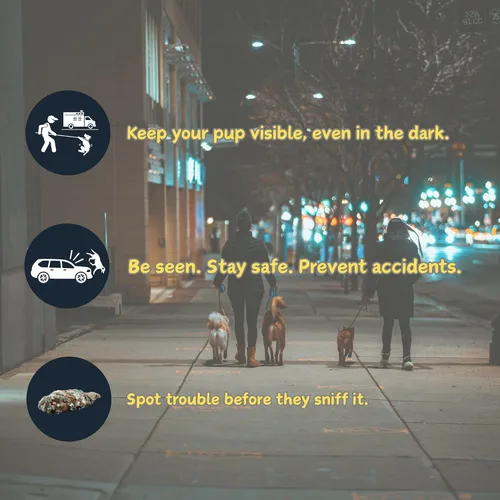 Miniatura 3 de Correa retráctil con luz LED para perros pequeños a medianos, extensible de 16 pies para paseos nocturnos seguros (negro)