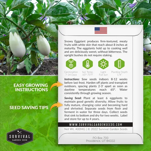 Miniatura 2 de Semillas de berenjena nevada para plantar, berenjena blanca con sabor dulce suave para jardines, contenedores y cultivo de patio, semillas de jardín