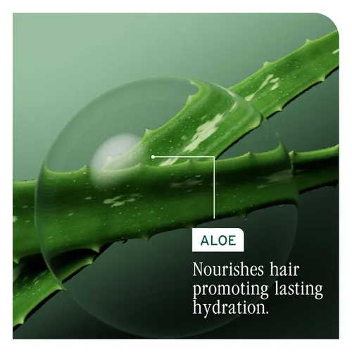 Miniatura 7 de Biolage Hydra Source Conditioning Balm - Moisturizes, Detangles & Adds Softness, For Dry Hair, Infused with Fermented Aloe & Micro-Filtered