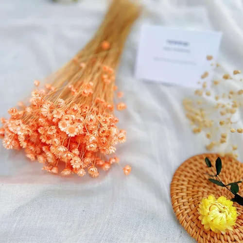 Miniatura 8 de 200 tallos de flores secas naturales brasileñas, margarita estrella pequeña seca, mini ramo decorativo de manzanilla seca para arreglos florales