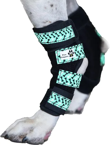 Par de soportes para piernas de perro, ultra apoyo, cómodo, resortes de metal duales, envolturas para patas traseras, soporte de corvillo canino