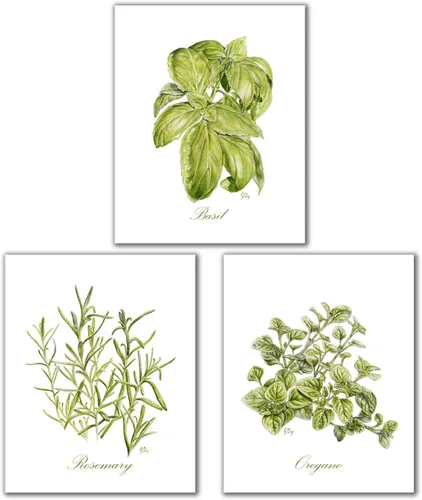 Herb Art Prints Set of 3 Unframed, Original Watercolor Kitchen Wall Art Home Wall Decor Signed By Artist, Basil Oregano Rosemary