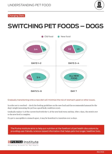 Miniatura 10 de Purina ONE SmartBlend - Alimento seco natural para perros adultos