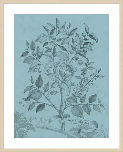 Miniatura 6 de Amanti Art Vision Studio - Póster enmarcado de 24 x 20 pulgadas, diseño botánico en V verde azulado por Vision Studio, arte de pared de naturaleza