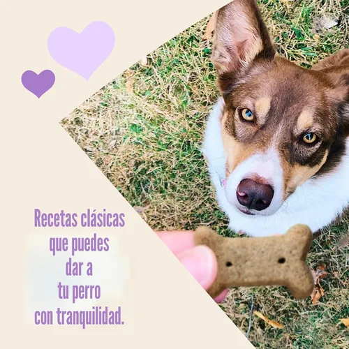 Miniatura 4 de Old Mother HubbardGalletas Classic P-NUTTERTRAS HORADAS DE PERRO CASO, PEQUEÑO, BOLSA DE 20 ORAS