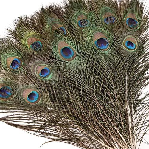 Miniatura 9 de iHUFeather 10 plumas naturales de ojo de pavo real de 10 a 12 pulgadas para arreglos florales, bodas, hogar y decoración de fiestas, natural