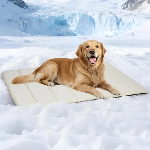Miniatura 19 de Tapete para jaula para perros de tamaño XL, cama de espuma viscoelástica de 41 x 27 pulgadas, lavable y antideslizante, tapete ultrasuave para Oscuro