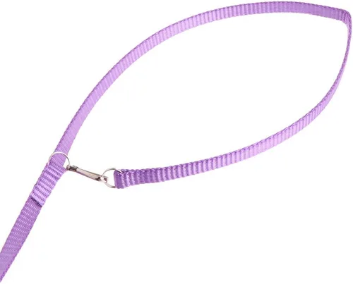 Miniatura 5 de Adjustable Bird Harness 3.94 Ft Long Leash Kit Outdoor Flying Training Rope for Small Birds Parrots Anti Toys African Grey for Small Parrots for