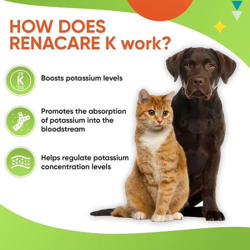 Miniatura 5 de RenaCare K es para Renal K (gluconato de potasio) Suplemento en polvo de potasio para perros y gatos, (4 onzas) con sabor a hígado de pollo