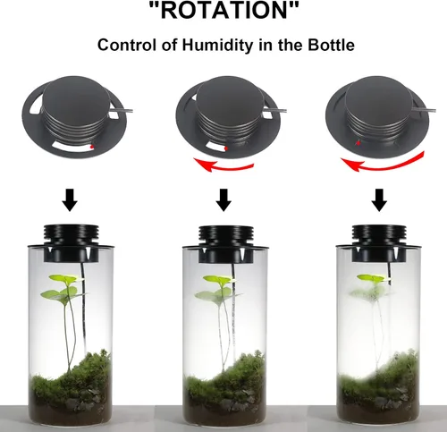 Miniatura 7 de AREPK Terrario de plantas de vidrio de escritorio con luz de cultivo (H:7.8" D:4"), para suculentas, musgo, paisajismo de jardinería en miniatura
