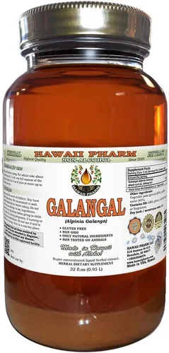Extracto líquido sin alcohol de raíz de galanga, orgánico orgánico Galangal (Alpinia Galangal) raíz seca glicerita Hawaii Pharm Suplemento herbario
