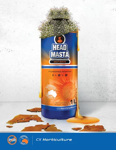 Miniatura 4 de CX Hydroponics - Cabeza Masta 1 Litro