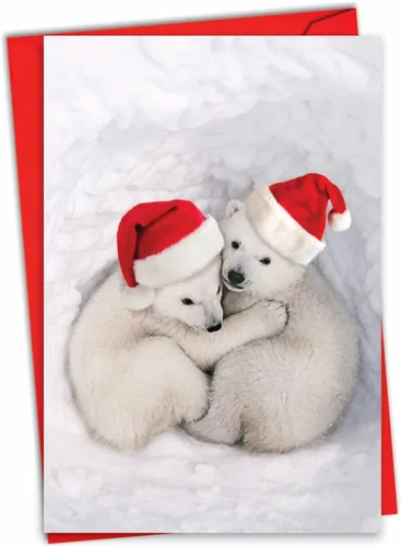 The Best Card Company - Divertida tarjeta de Navidad de animales con sobre - Tarjeta de felicitación para niños, Happy Holidays - Bear Hugs C6327CXSG