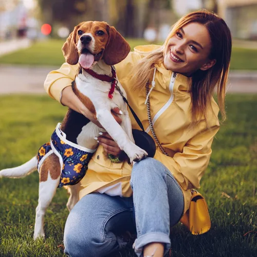 Miniatura 6 de Pet Soft Pañales lavables para mujer (paquete de 3) – Pañales para perros femeninos, cómodos pañales reutilizables para perritos en período de calor