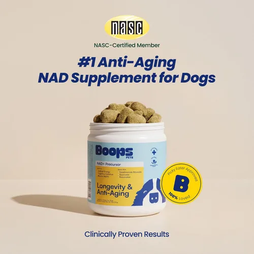 Miniatura 2 de Suplemento Precursor NAD+ y para Perros Mayores - 90 Gomitas Blandas y Vitaminas - Alternativa NMN para Longevidad, Anti-Envejecimiento y Energía