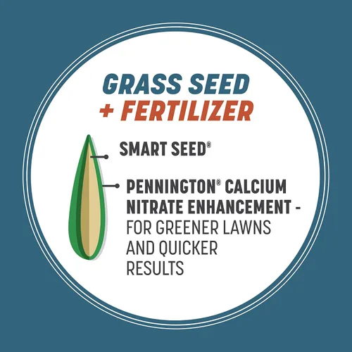 Miniatura 4 de Pennington Smart Seed - Mezcla de semillas para césped del noreste, 20 libras