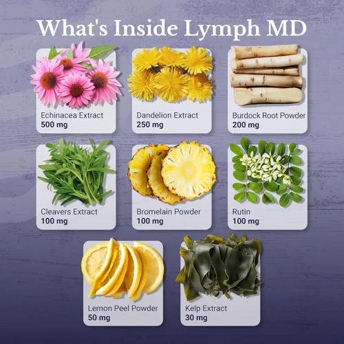 Miniatura 3 de Lymph MD - Suplemento de drenaje linfático - con bromelina, equinácea, raíz de bardana, diente de león, rutina, algas y más - Soporte del sistema