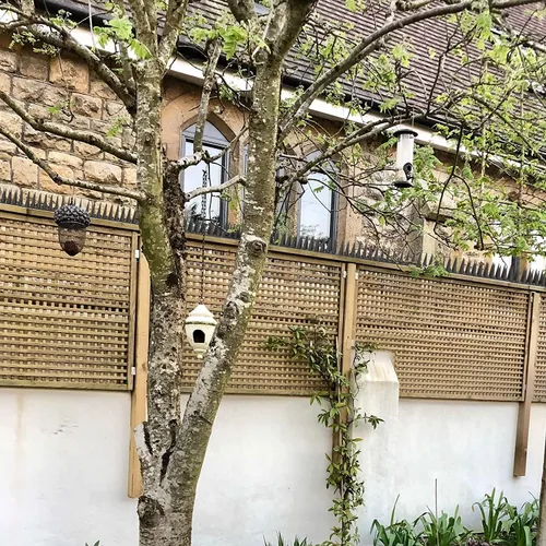 Miniatura 7 de Púas para pájaros 30 paquetes Púas disuasorias para gatos y pájaros al aire libre, púas defensoras - mantenga alejadas a las palomas, gatos y más