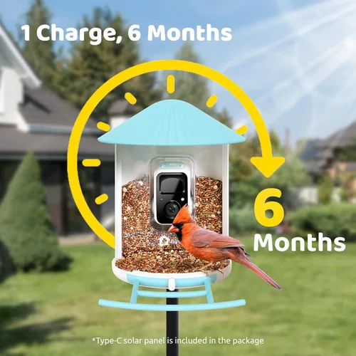 Miniatura 9 de NETVUE Birdfy® Hummee - Comedero inteligente para colibríes con cámara, videos de aves de captura automática y observación de aves de cerca, Azul