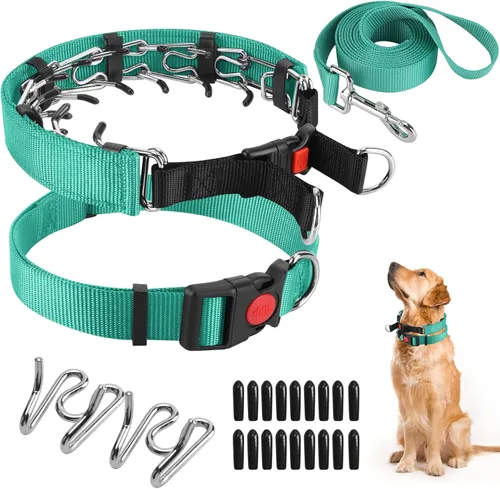 Miniatura 21 de Collar de entrenamiento de puntas con puntas cómodas y hebilla de cierre rápido – Collar de pellizco para perro con cubierta de nailon