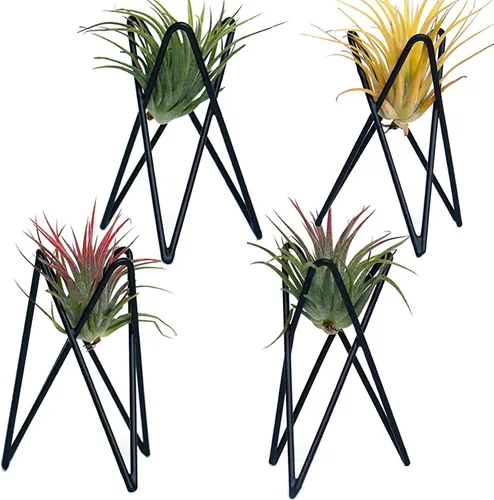Paquete de 4 soportes para plantas de aire, base Tillandsia, soporte geométrico moderno de metal para plantas de aire, estante de exhibición de