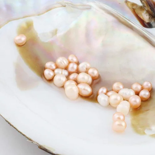 Miniatura 4 de NewEGG Big Oyster Pearl Party - Cuentas ovaladas cultivadas de agua dulce (0.197-0.276 in, 28 unidades/lote), ostras con perla interior para mujeres