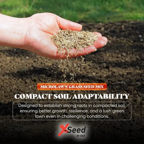 Miniatura 5 de X-Seed Microlawn - Mezcla de semillas de césped y microtrébol: césped denso autoalimentable, sol y sombra, elimina las malas hierbas, alto tráfico