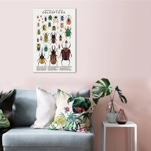 Miniatura 6 de Póster de lienzo de animales para pared, imágenes de animales, guía de coleópteros, insectos, escarabajos, impresiones de conocimiento, estética