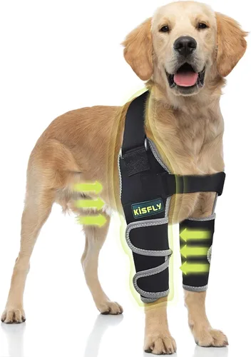 Miniatura 9 de Arnés para perros medianos, arnés de apoyo para la pierna trasera para asistencia de movilidad, ayuda a apoyar perros con problemas