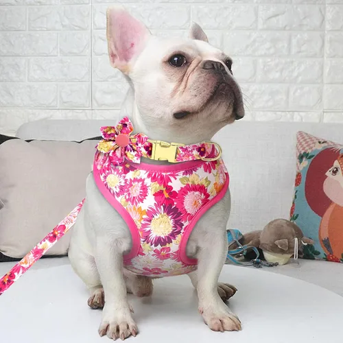 Miniatura 5 de Beirui Collares, arneses y correas lindos para perritas, juego de collar y correa ajustable para perros con flor - Chaleco de malla suave
