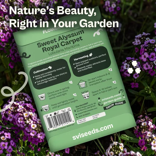Miniatura 2 de SVI 3000 semillas Royal Carpet Sweet Alyssum (Lobularia maritima) – Paquetes de semillas de flores de Alyssum Sweet Alyssum a granel, cobertura