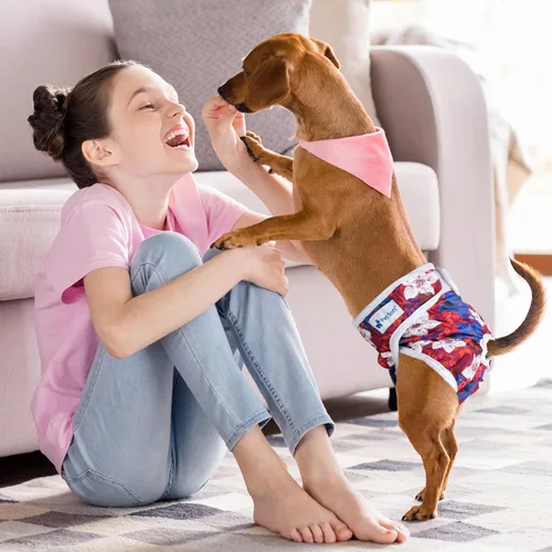 Miniatura 5 de Pet Soft Pañales para Perras Hembras, Paquete de 3 Pañales Lavables para Perras Hembras en Celo, Bragas Reutilizables para el Período de las Perras