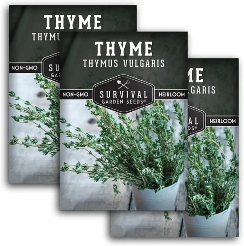 Miniatura 11 de Semillas de tomillo para plantar en interiores o exteriores, semillas de tomillo inglés (Thymus Vulgaris) para jardines de hierbas del hogar