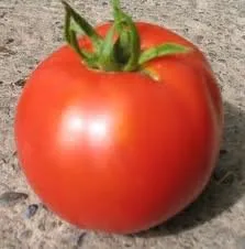 Semillas de verduras de jardín de Tesalónica de Tomate Great Heirloom (30 semillas)