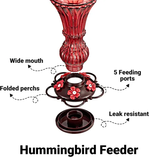Miniatura 3 de Comedero de vidrio para colibríes, alimentador de néctar de pájaros salvajes rojos para colgar al aire libre, a prueba de fugas, 20 onzas con 5