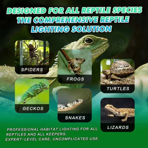 Miniatura 2 de Lámpara de reptil de cúpula poco profunda de 5.5 pulgadas, adecuada para bombillas UVB y bombillas de calor que disfrutan, máximo 160 W.