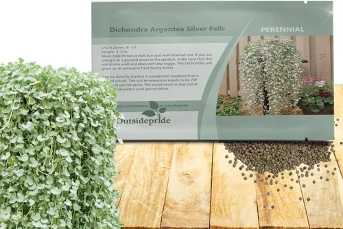Miniatura 8 de Outsidepride Semillas de Dichondra Repens Perennes - 1 libra Semillas densas verdes de cobertura del suelo de bajo mantenimiento para plantar, ideal