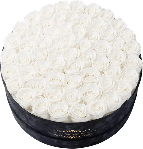 Miniatura 18 de NATROSES 27 Rosas Preservadas para Siempre en una Caja, Flores Preservadas para Entrega de Cumpleaños, para Mamá, Buttermilk Suero de mantequilla