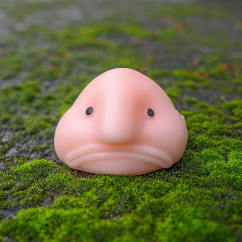 Miniatura 7 de Accoutrements Sunny The Blobfish - Juguete novedoso - Juguete blando