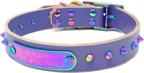 Miniatura 16 de Collar de perro de cuero con brida hecha a mano, grabado arco iris de acero inoxidable (negro)