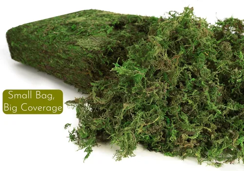 Miniatura 4 de BYHER Musgo falso de 4 onzas, musgo para manualidades y plantas de interior, césped verde artificial realista para jardín de hadas, proyectos