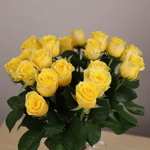 Miniatura 3 de Más de 100 piezas de semilla de rosa amarilla, símbolo de amistad, arbustos de rosa perenne, planta de paisajismo llamativa, fácil de cultivar